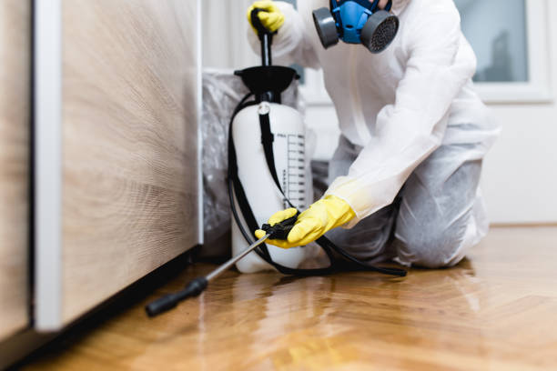 Best Flea Control Services  in West Samoset, FL
