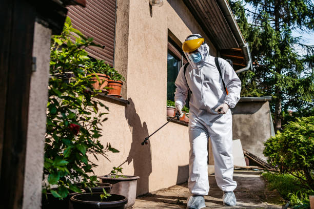 Best Rodent Control Near Me  in West Samoset, FL