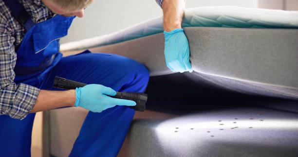 Best Pest Control Near Me  in West Samoset, FL