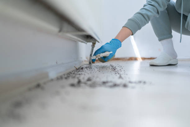 Best Pest Removal Services  in West Samoset, FL